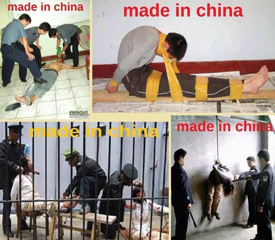 世上最危险的猪瘟是中共
