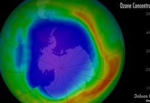 美国之音:科学家确定中国两省非法使用全球禁用化学品
