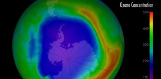 美国之音:科学家确定中国两省非法使用全球禁用化学品