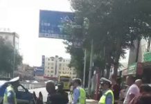 交警罚单贴到毛驴的屁股上
