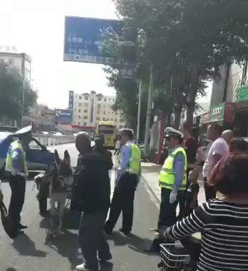 交警罚单贴到毛驴的屁股上