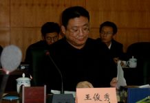 王俊秀:万般皆下品唯有当官好