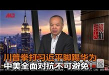 陈小平:贸易战是针对中国,制裁华为是针对中共