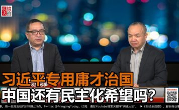 何频 陈小平:习近平还能混多久?官员大清洗动摇政权