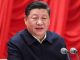 海风:习近平权力来源合法性问题