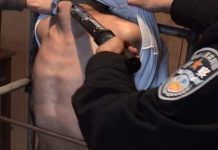 你见过恶警电击生殖器吗?