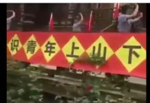 习近平果然又在搞知识青年上山下乡?