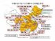 【赵国新闻】非洲猪瘟疫情到底有多严重?