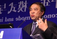 王建国:中国模式是否可持续?