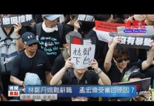 夏业良:林郑月娥难辞职 孟宏伟受审的原因?