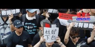 夏业良:林郑月娥难辞职 孟宏伟受审的原因?