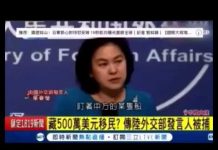 三立新聞:華春瑩攜巨款準備逃美被捕,家中藏美元500万!