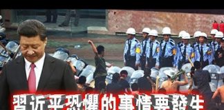 张杰:习近平恐惧的事情要发生 “四无”反抗运动将改天换日