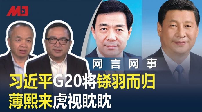 何频 陈小平:习近平G20将铩羽而归,薄熙来监狱虎视眈眈