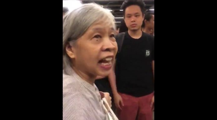 两个大陆阿婆在香港地铁驾港民是暴徒惹怒全世界
