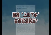 习近平欲掩两道大难题 ,计划下令启动新一轮上山下乡!