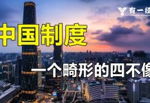 中国制度:一个畸形的四不像