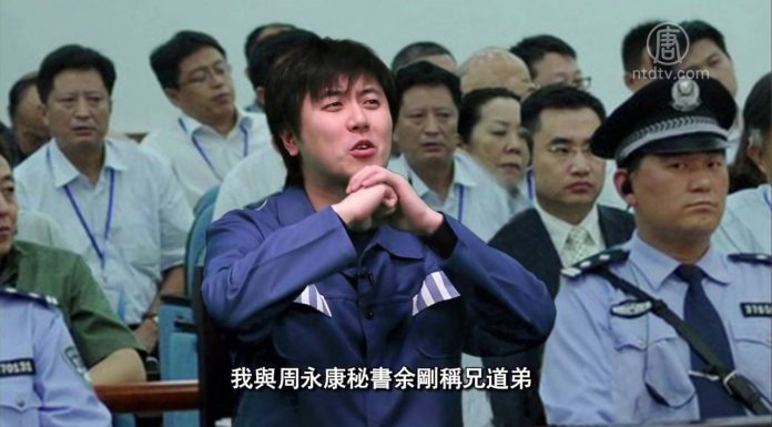 时事小品:庭审苪成钢