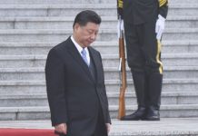 大陆作家知音给习近平的一封公开信