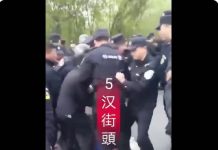 武汉阳逻,警察围殴抗议者,比港警残忍百倍!