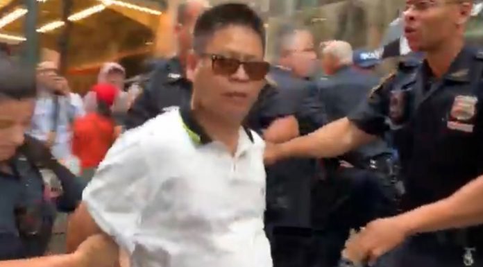 独家新闻:蔡英文過境紐約,中共五毛结伴闹事被抓!