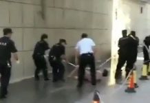 看到这个视频你会怎么想?