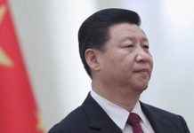 中国特色29:官场学历腐败触目惊心,政治局21个高学历只有4个没注水