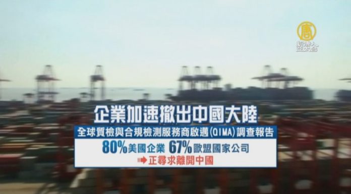 謝田:歐美企業六到八成正撤出中國,波及更多企業和更多就業人口
