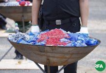 关注缅甸金三角7:2019年是缅甸政府承诺禁绝毒品的最后期限