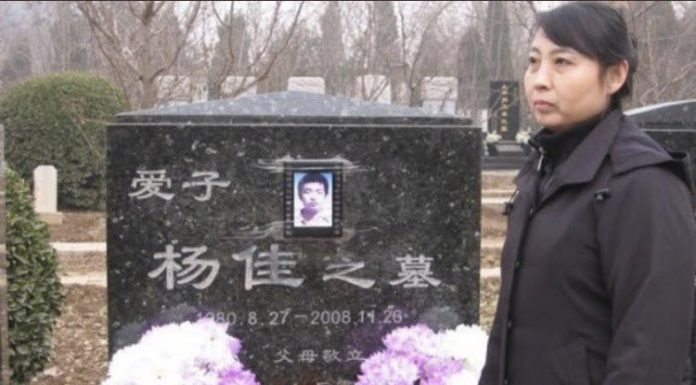 今天是杨佳上海屠警11周年纪念日