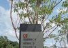 习近平新时代:好人被精病,而精神病人都在建精神广场