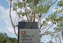 习近平新时代:好人被精病,而精神病人都在建精神广场