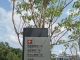 习近平新时代:好人被精病,而精神病人都在建精神广场