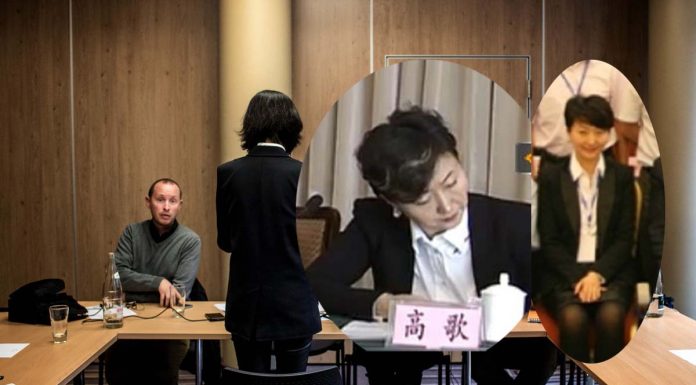孟宏伟妻子高歌已对国际刑警组织提出起诉