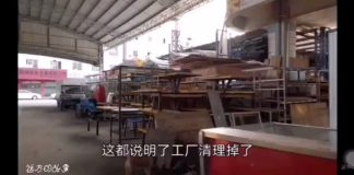 大风暴快来了,您准备好吃草了吗?