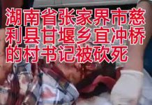 湖南省张家界市慈利县甘堰乡宜冲桥的村霸书记被人砍死!