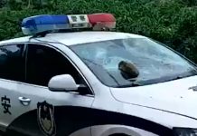 海南公安入村执法遭村民群殴,警车被砸!(视频)