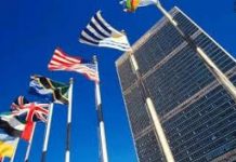 潘露:联合国当下唯一作用就是支持反人类政府将反人类进行到底