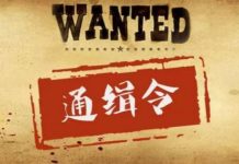中国特色11:被通缉者平安无事,而签发红色通缉令的孟宏伟却遭逮捕