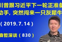 江森哲:川普跟习近平的下一轮对决正准备动手的时候,突然来闯来一只灰犀牛.