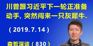 江森哲:川普跟习近平的下一轮对决正准备动手的时候,突然来闯来一只灰犀牛.