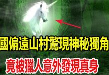 中國偏遠山村驚現神秘獨角獸,竟被獵人意外發現真身,全村村民開始上山尋找!