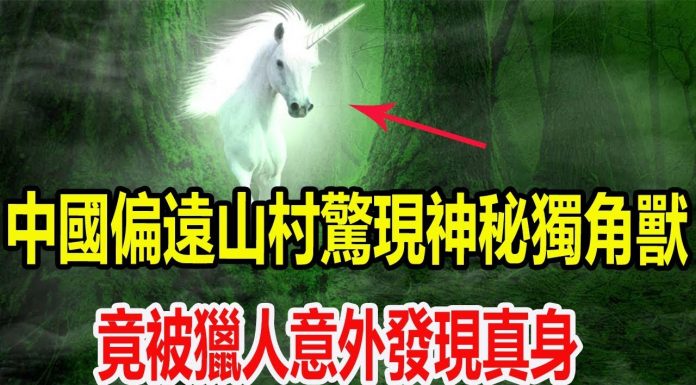 中國偏遠山村驚現神秘獨角獸,竟被獵人意外發現真身,全村村民開始上山尋找!