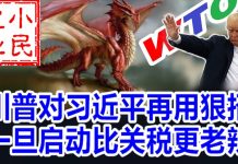 小民之心:川普对习近平再用狠招 一旦启动比关税更老辣