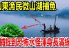 山东渔民微山湖捕鱼,竟捕捉到恐怖水怪浑身长满绿毛,随后壹幕发生渔民们纷纷逃窜!