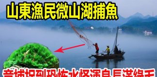 山东渔民微山湖捕鱼,竟捕捉到恐怖水怪浑身长满绿毛,随后壹幕发生渔民们纷纷逃窜!