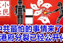 小民之心:中共最怕的事情来了 港府分裂已经公开化