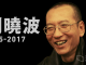刘晓波:独裁制度得以维系的秘诀,就是不把人当人!