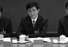 中国特色19:中央“不忘初心、牢记使命”主题教育领导小组就是过去中央文革领导小组的翻版
