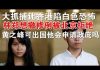 郭宝胜:大抓捕让香港陷白色恐怖、黄之峰保释可出国他会申请政庇吗?林郑想撤修例被北京拒绝
